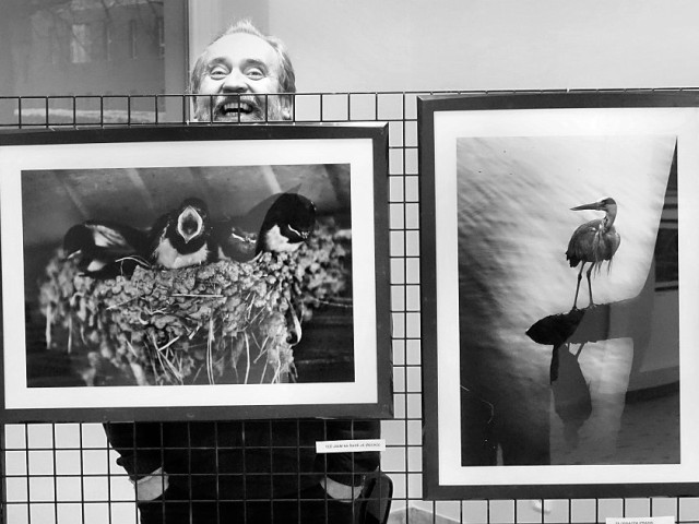 NORBI KOVÁCS / FOTOGRAFIE