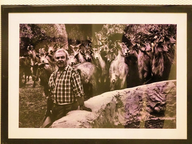 NORBI KOVÁCS / FOTOGRAFIE