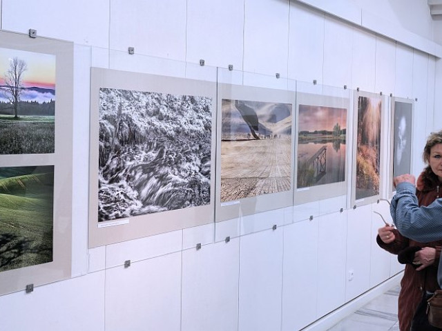 FOTOGRAFIE - FREELAND BRNO