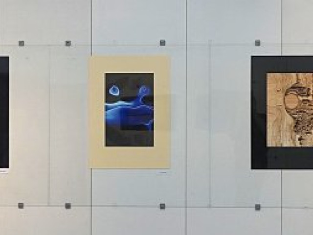 LIBOR SALÁK - fotografie; MILOSLAV ČEVELA - dřevěné reliéfy