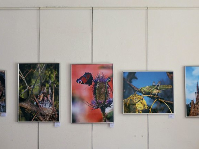 KLUB VÝTVARNÝCH UMĚLCŮ JIHLAVA - fotografie a plastiky