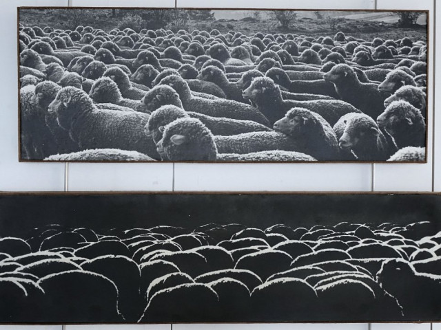 MIROSLAV MATOUŠEK - FOTOGRAFIE