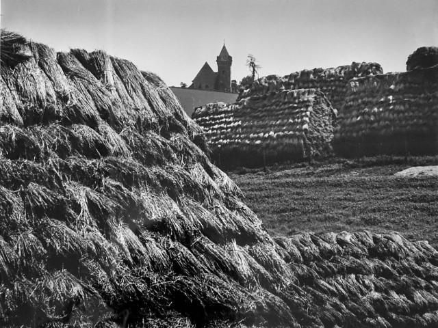 MIROSLAV MATOUŠEK - FOTOGRAFIE
