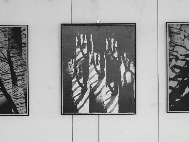 MIROSLAV MATOUŠEK - FOTOGRAFIE