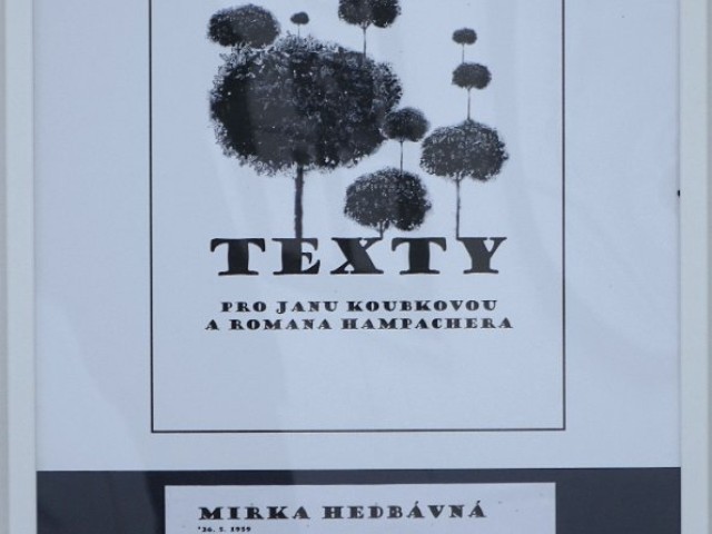 Mirka Hedbávná - TEXTY