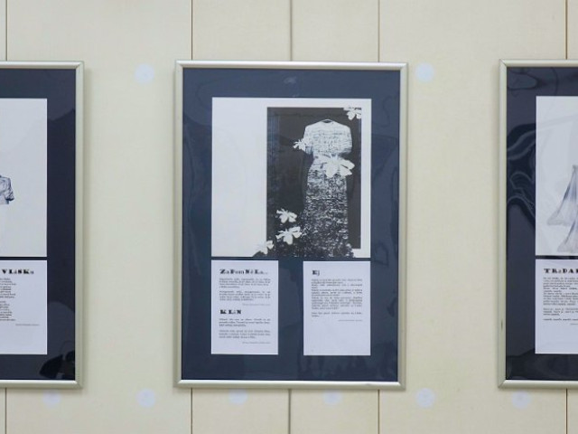 Mirka Hedbávná - TEXTY